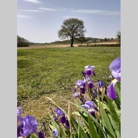 Gite Du Clos Baste Moncaup  ภายนอก รูปภาพ